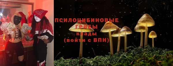 молекула духа Богданович