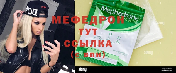 молекула духа Богданович