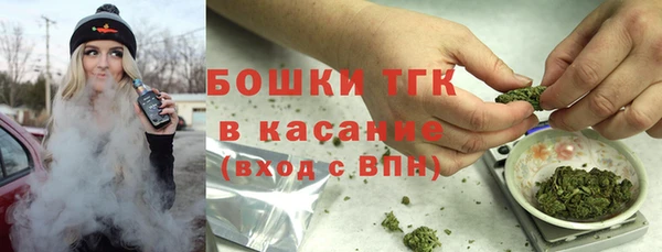 молекула духа Богданович