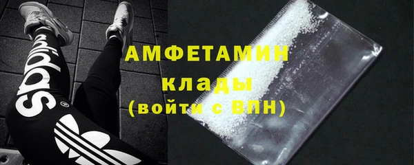 молекула духа Богданович
