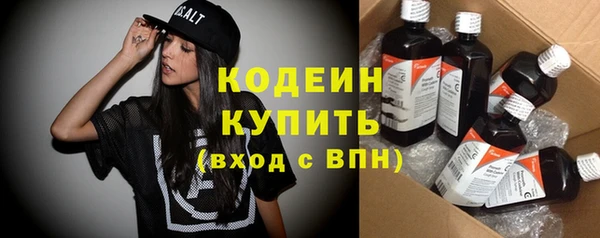 молекула духа Богданович