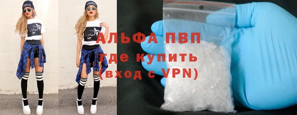 молекула духа Богданович