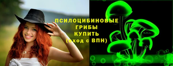 молекула духа Богданович