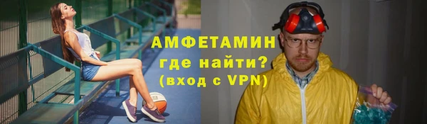 прущие грибы Богородицк