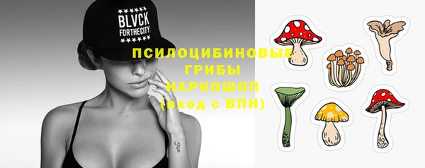 прущие грибы Богородицк