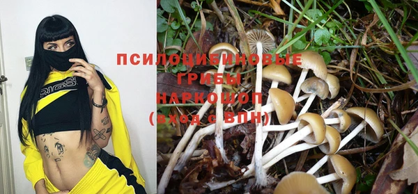 гашишное масло Богородск