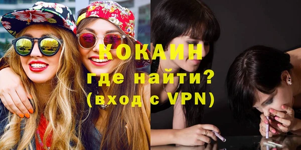прущие грибы Богородицк