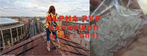 прущие грибы Богородицк