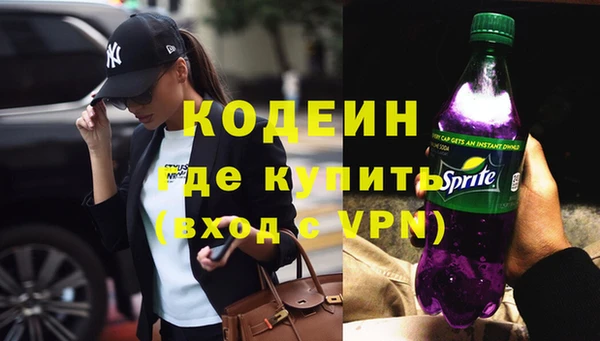 молекула духа Богданович