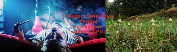 молекула духа Богданович