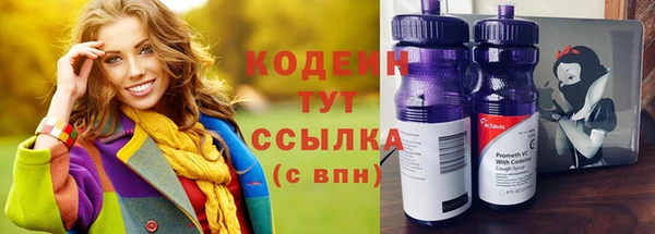 молекула духа Богданович