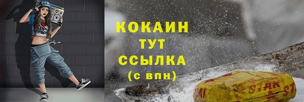 прущие грибы Богородицк