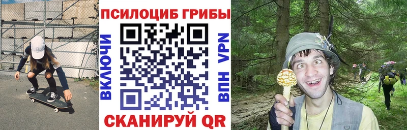Галлюциногенные грибы Magic Shrooms  Наро-Фоминск 